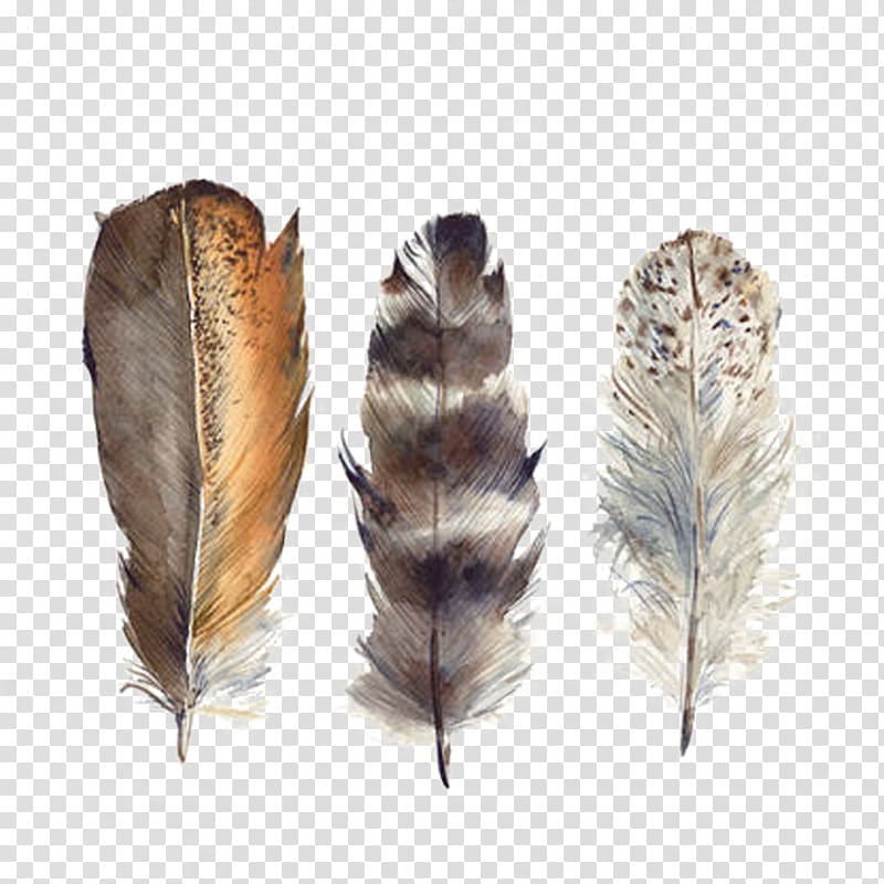 white and brown feathers, Bird Feather Drawing Watercolor painting, Hand-painted watercolor feather transparent background PNG clipart