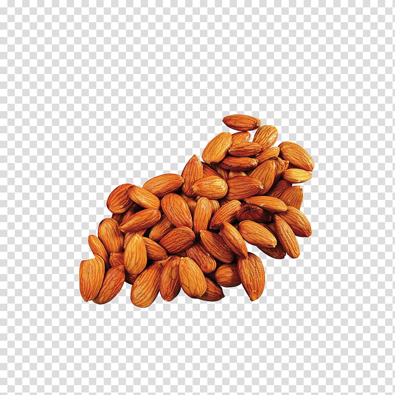 Apricot kernel Almond Oil Food, almond transparent background PNG clipart