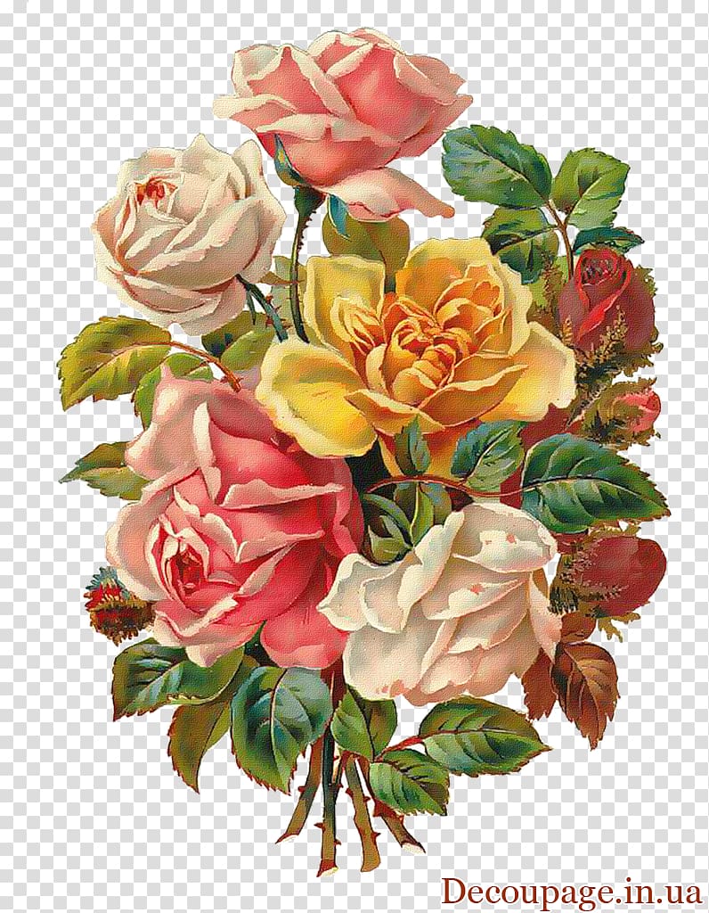 Flower bouquet Rose Floral design , flower vintage transparent background PNG clipart