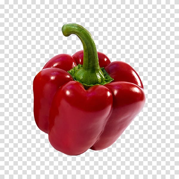 Habanero Serrano pepper Cayenne pepper Tabasco pepper Bell pepper, black pepper transparent background PNG clipart
