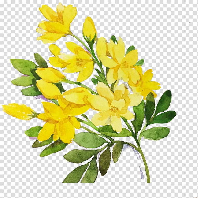 forsythia like material transparent background PNG clipart