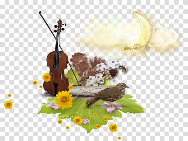 Violin Music , Starting Point transparent background PNG clipart