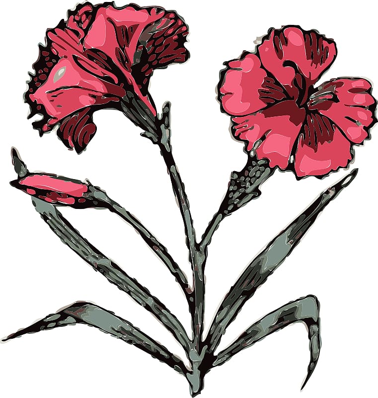 Carnation flower - sketch of tattoo - Stock Image - Everypixel