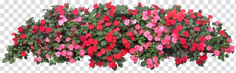 pink and red flowers , Flower garden Grow light Raised-bed gardening, balcony transparent background PNG clipart