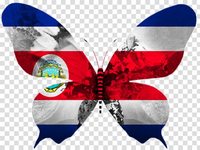 Butterfly Flag of Costa Rica Estonia, costa rica transparent background PNG clipart