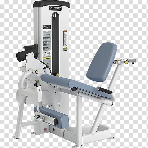 Leg extension Leg press Leg curl Hyperextension Weight machine, Rear Delt Raise transparent background PNG clipart