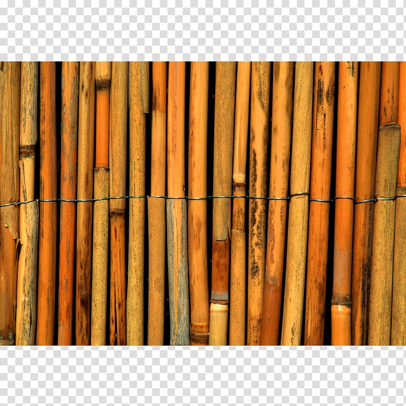 Tropical woody bamboos Paper Reed Fence Cane, Fence transparent background PNG clipart