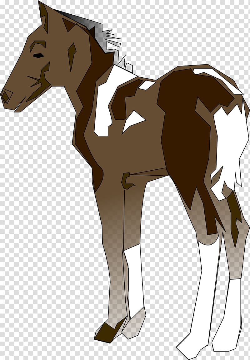 Pony Horse Foal , Robust Mustang transparent background PNG clipart