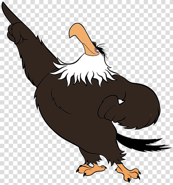Mighty Eagle Bald Eagle , Angry Vulture transparent background PNG clipart