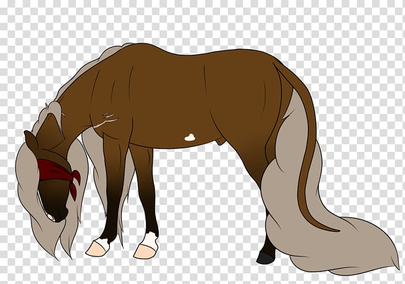 Foal Mustang Stallion Colt Donkey, mustang transparent background PNG clipart