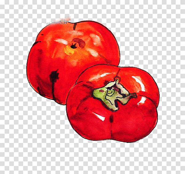Tomato Persimmon , persimmon transparent background PNG clipart