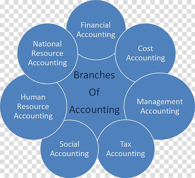 Managerial Cost Accounting Accountant Partnership accounting, accountancy and business management transparent background PNG clipart