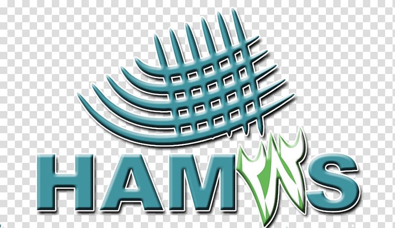 Hamas Himpunan mahasiswa jurusan STEI Tazkia Accounting Logo, Hamas transparent background PNG clipart