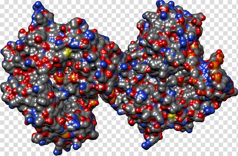 Cobalt blue Bead, Molecular Structure Of Nucleic Acids A Structure F transparent background PNG clipart