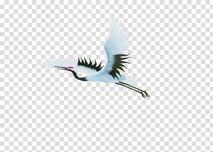 Flying red-crowned crane transparent background PNG clipart