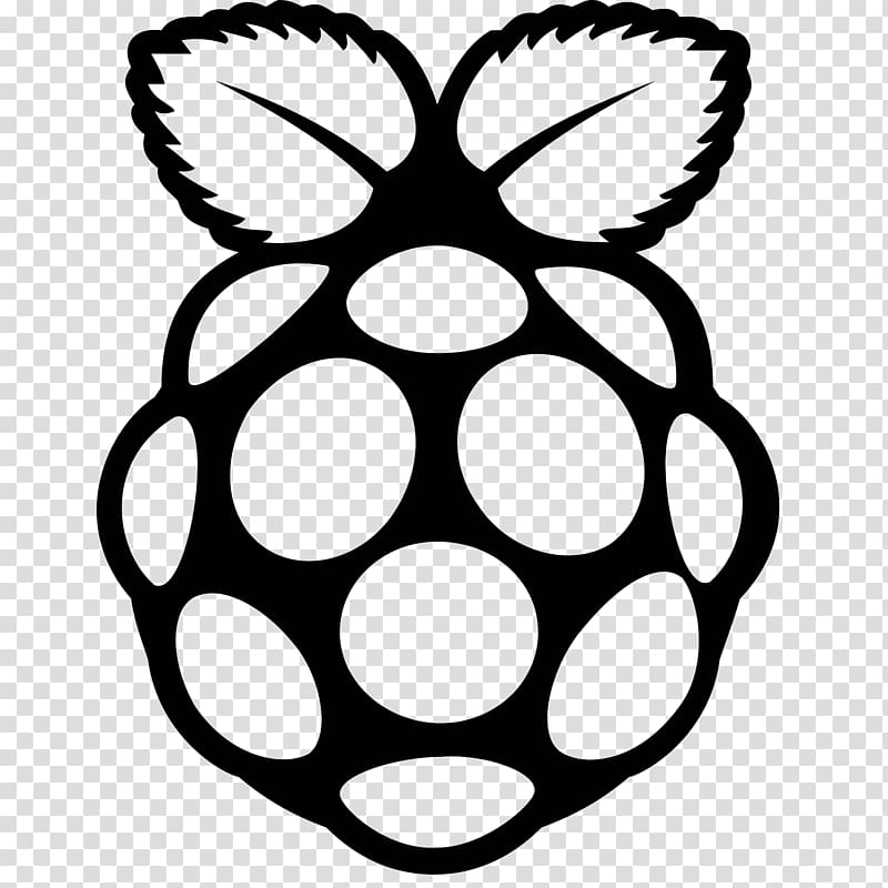 Raspberry Pi 3 Computer Icons, raspberries transparent background PNG clipart