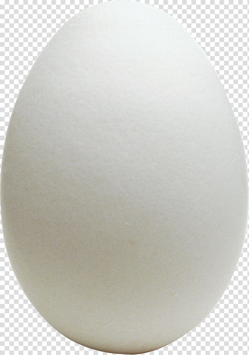 white egg, Chicken egg Chicken egg Omelette World Egg Day, Egg transparent background PNG clipart