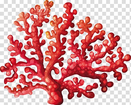 Coral reef , others transparent background PNG clipart