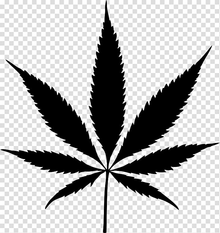 Cannabis Leaf Hashish , marijuana transparent background PNG clipart