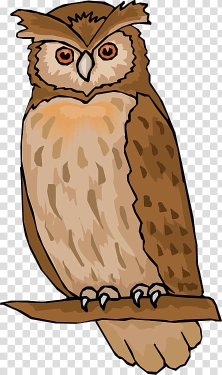 Owl Free content , Hoot transparent background PNG clipart