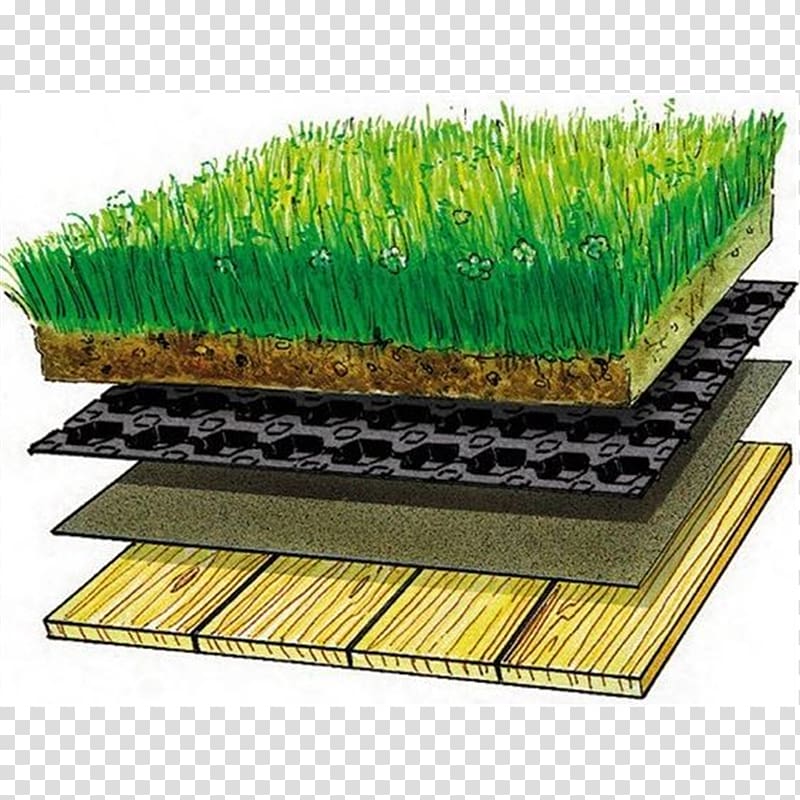 Sod roof Green roof Dachdeckung Drainage, platon transparent background PNG clipart