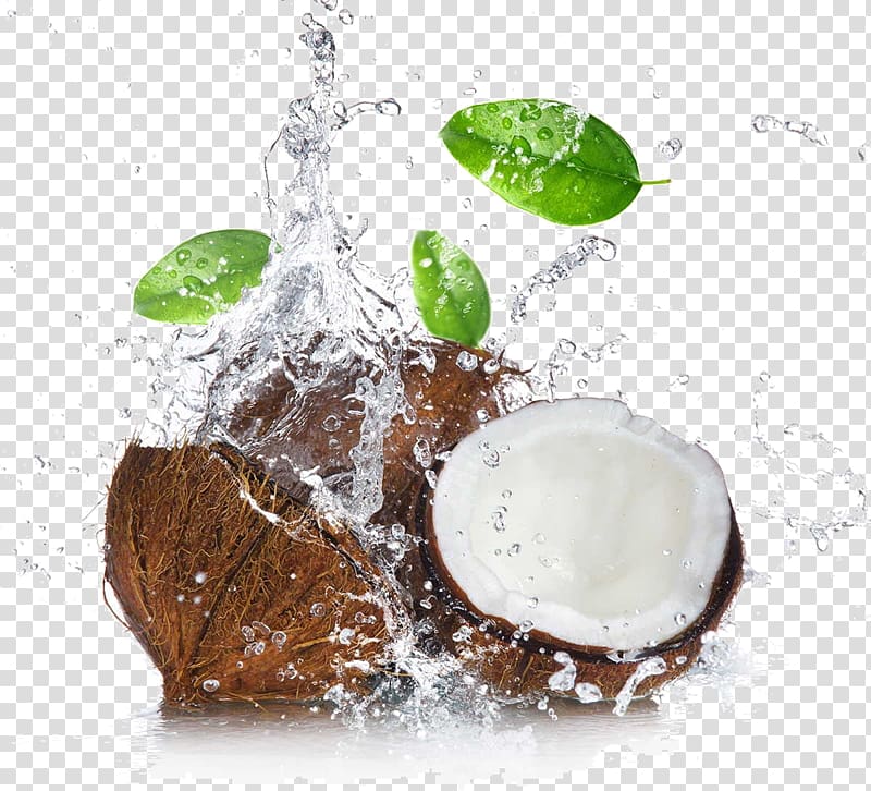 brown coconut with leaves, Coconut water Coconut milk Coconut oil Cocoa bean, coconut transparent background PNG clipart