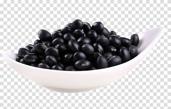 Black turtle bean, Northeast characteristics of black beans material transparent background PNG clipart