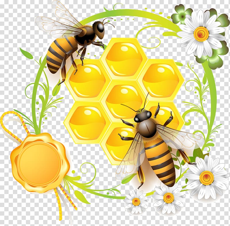 Bee Can , bee transparent background PNG clipart