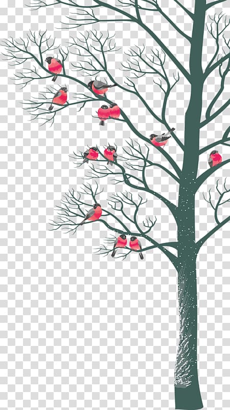 Bird Tree Branch Christmas, Birds and trees transparent background PNG clipart