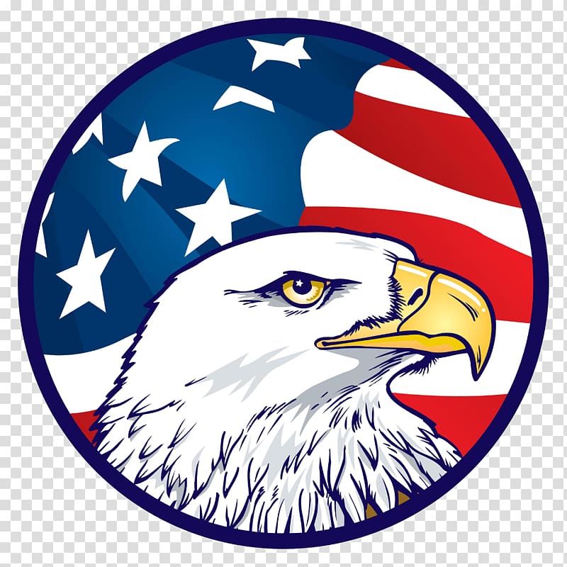 Bald eagle Flag of the United States Decal, eagle transparent