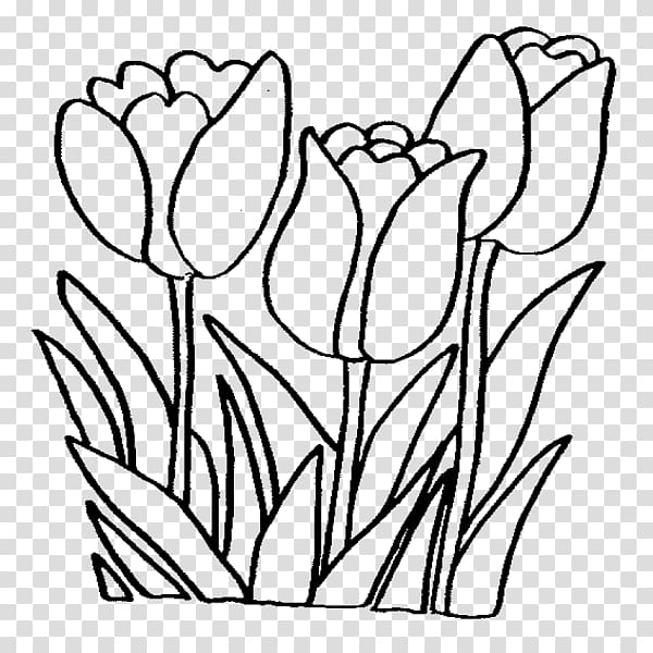 Coloring book Flower bouquet Drawing, flower transparent background PNG clipart