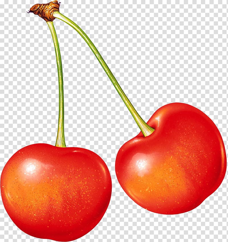 Cherry Fruit Berry, cherry transparent background PNG clipart