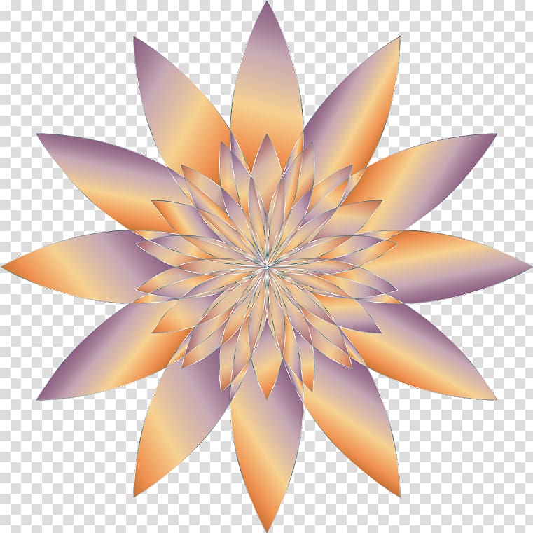 Desktop Petal Flower , fractal geometry transparent background PNG clipart