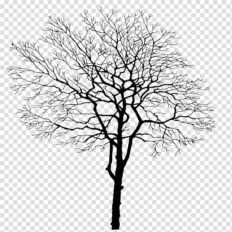 black tree , Tree Branch Trunk, Tree branches transparent background PNG clipart