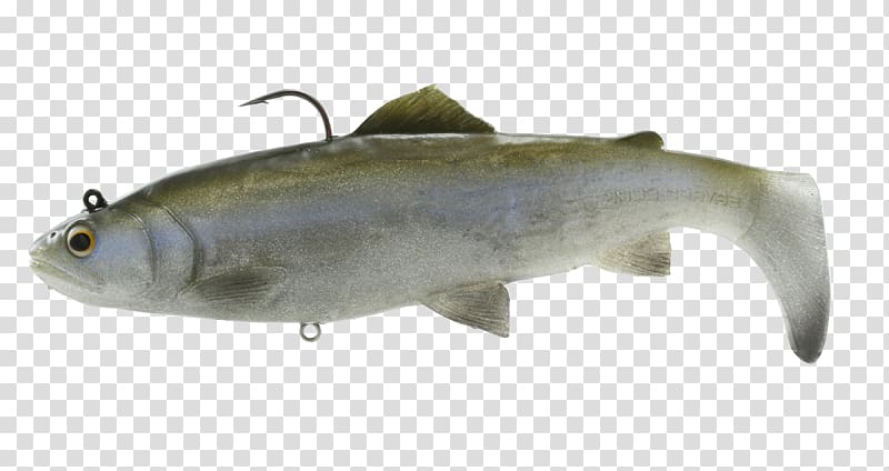 Plug Sardine Swimbait Fishing Baits & Lures Rainbow trout, Fishing transparent background PNG clipart