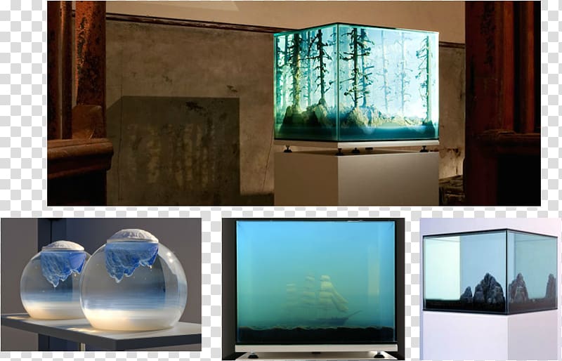 Aquarium Explorer: The Mystery Boxes Glass England Interior Design Services, nes De Esculturas Abstractas transparent background PNG clipart