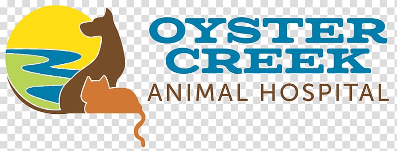 Oyster Creek Animal Hospital Oyster Creek (Texas) Veterinarian Cat, Changzhou Hongmei Park Animal Hospital transparent background PNG clipart