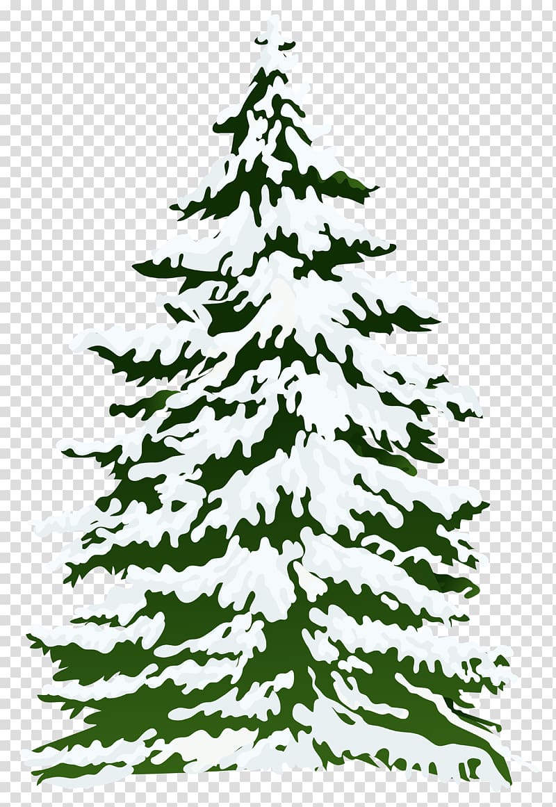 pine tree covered with snow animated illustration, Pine Snow Tree , Winter Snowy Pine Tree transparent background PNG clipart
