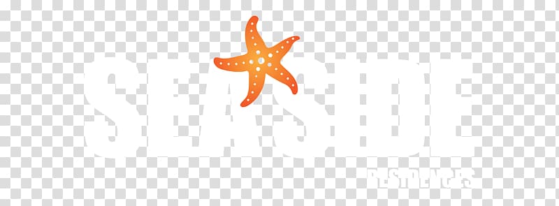 Starfish Echinoderm Font, starfish transparent background PNG clipart
