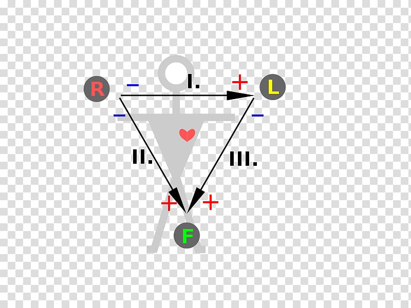 Einthoven\'s triangle Electrocardiography Heart Triangolo di Einthoven Electrode, double heart transparent background PNG clipart