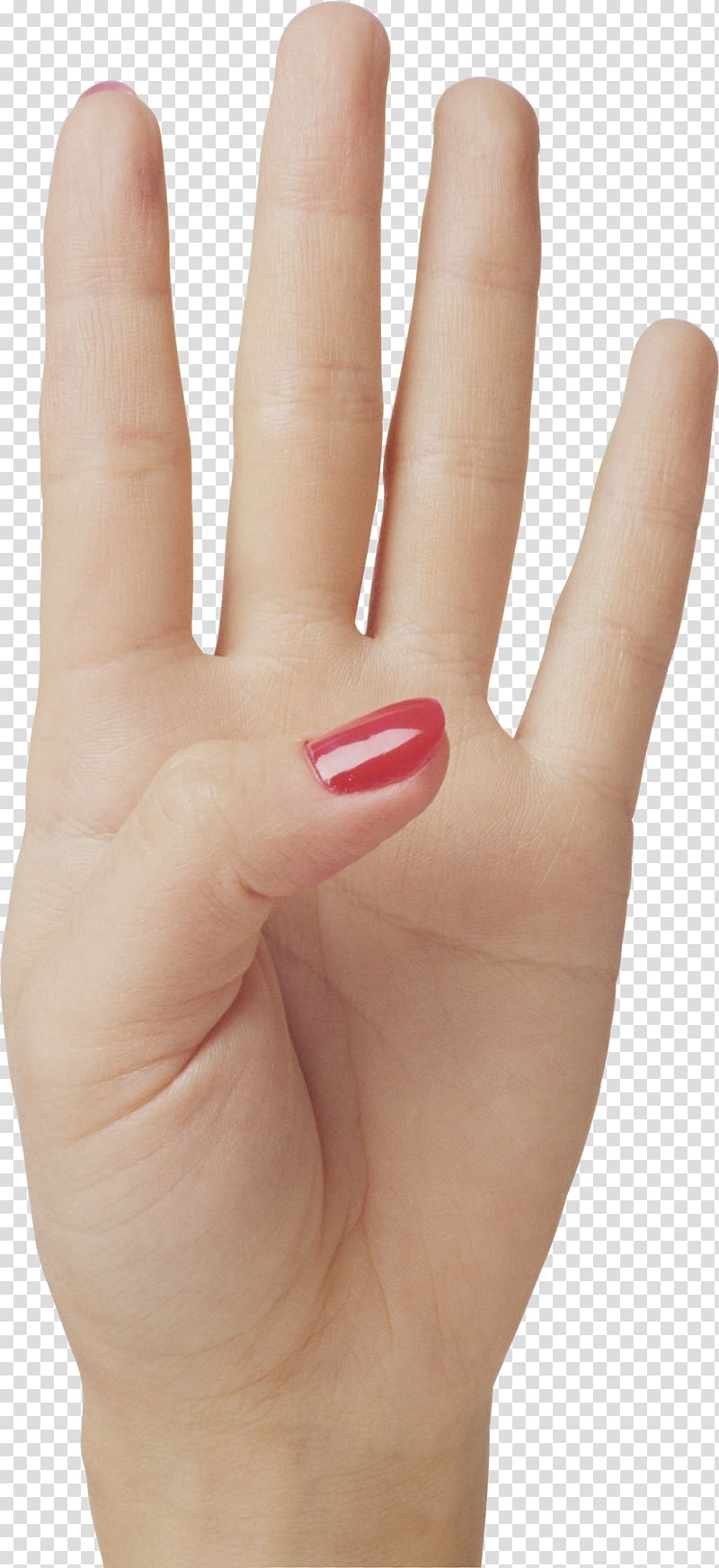 Hand Chunk Computer file, Hands , hand free transparent background PNG clipart