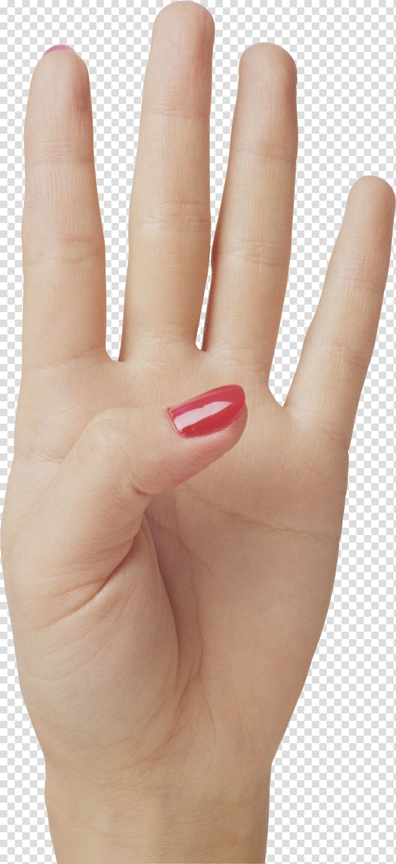 Hand, Hand Png, Five Fingers Png, Hand With Transparent Background