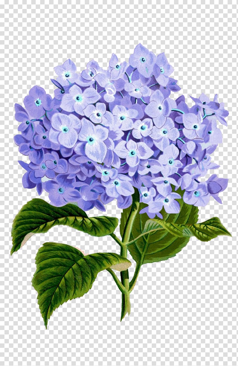 Paper Art Floral design Flower, flower transparent background PNG clipart