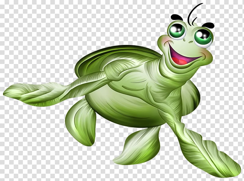 Painted turtle Drawing Illustration, Painted turtle transparent background PNG clipart