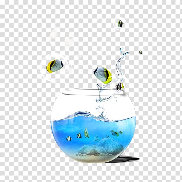 Carassius auratus Aquarium Ornamental fish, Aquarium,fish,Creative summer transparent background PNG clipart