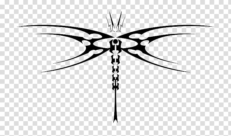 Tattoo Tribe Dragonfly, Dragonfly Tattoos transparent background PNG clipart