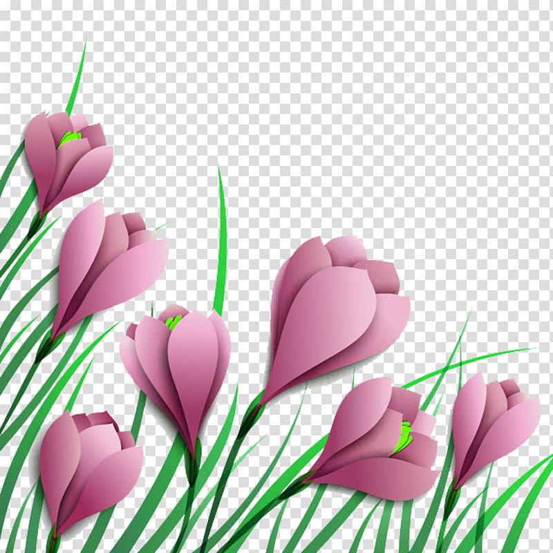 Autumn Crocus Purple , Three-dimensional material tulip transparent background PNG clipart