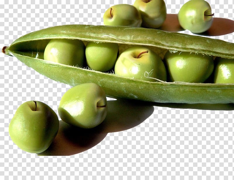 Wrap Pea Soybean Food Genetically modified organism, Creative green apple pods transparent background PNG clipart