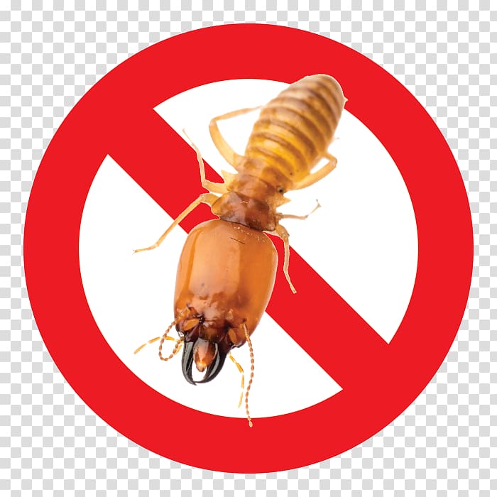 Zazzle Sticker Sign Symbol, Big D Pest And Termite Services transparent background PNG clipart