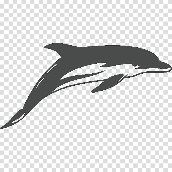 Common bottlenose dolphin Sticker Drawing Decal Tattoo, dolphin transparent background PNG clipart